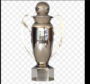 LIGA PROFESIONAL